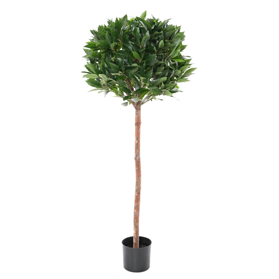 LAUREL ESFERA TALLO 135 RESISTENTE A LOS RAYOS UV B