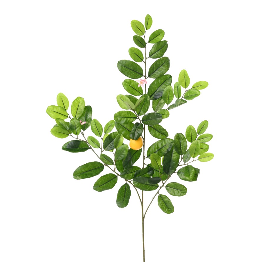 LEMON TREE SPRAY SUNNY