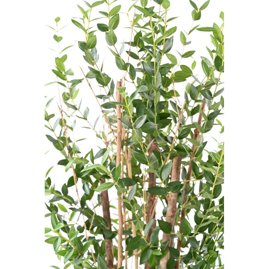 EUCALYPTUS MINI BUSH 150 CM