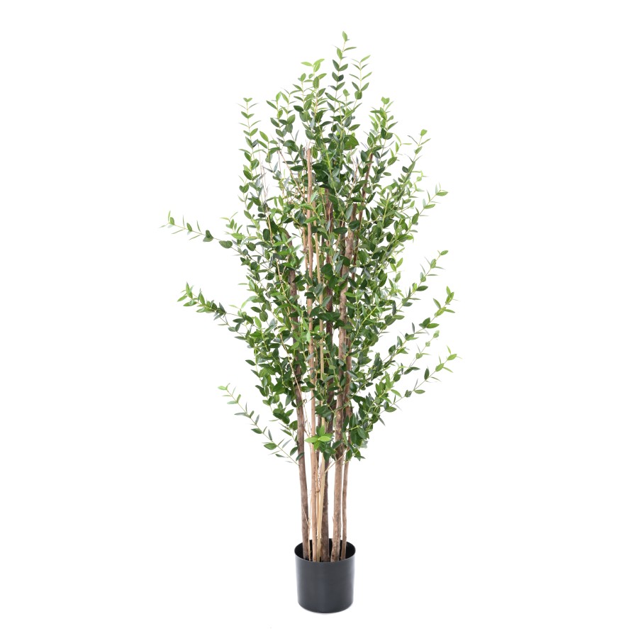 EUCALYPTUS MINI BUSH 150 CM