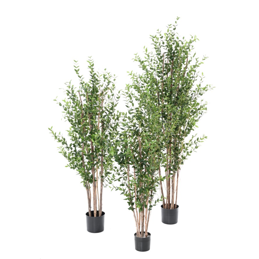 EUKALYPTUS MINI-BUSCH 180 CM