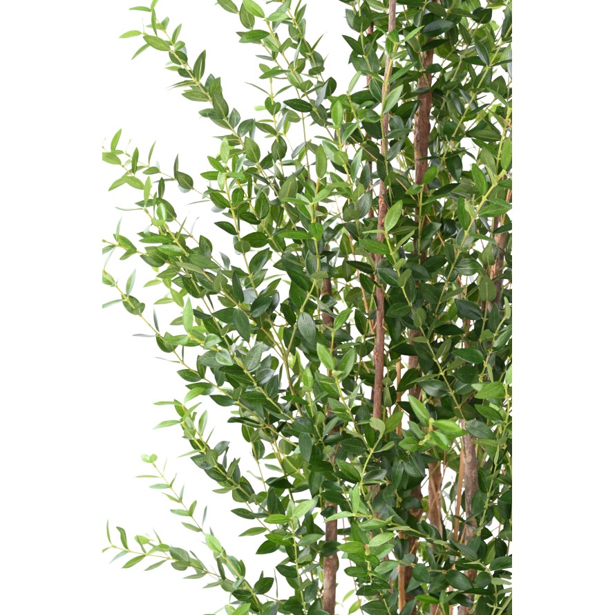 EUKALYPTUS MINI-BUSCH 180 CM