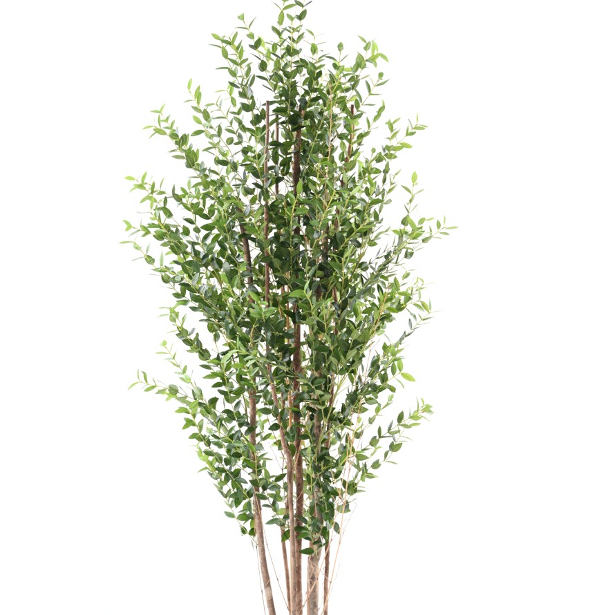 EUKALYPTUS MINI-BUSCH 180 CM