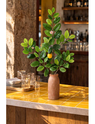 LEMON TREE SUNNY SPRAY