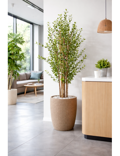 EUCALYPTUS MINI BUSH 150 CM