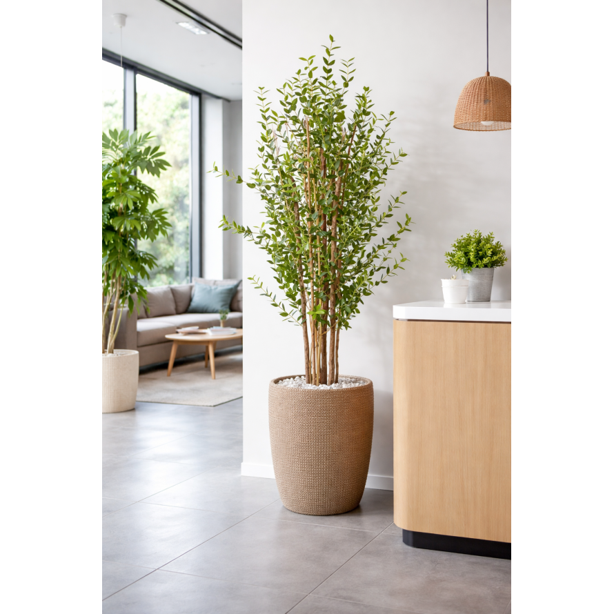 EUCALYPTUS MINI BUISSON 150 CM