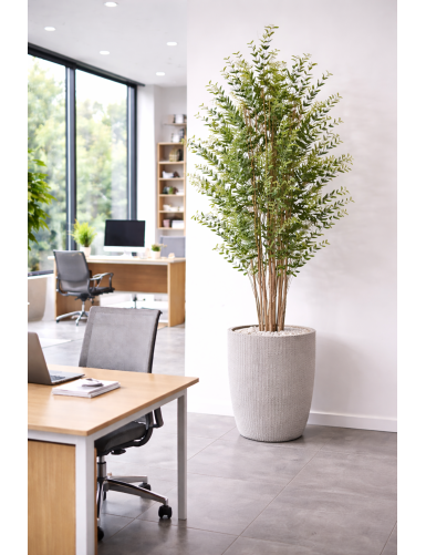 EUCALIPTO MINI ARBUSTO 180 CM