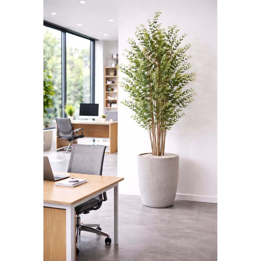 EUKALYPTUS MINI-BUSCH 180 CM