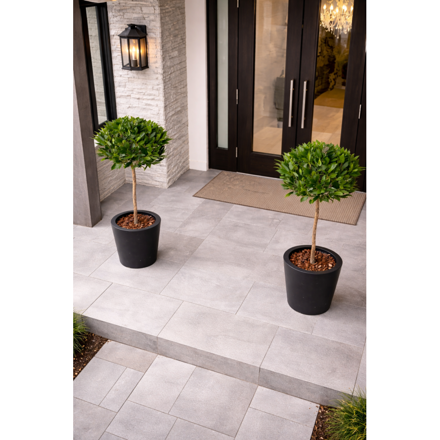 LORBEERBAUM KUGEL STAMM 135 UV B