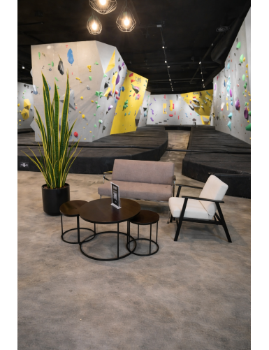 SANSEVIERIA LARGE 155 cm