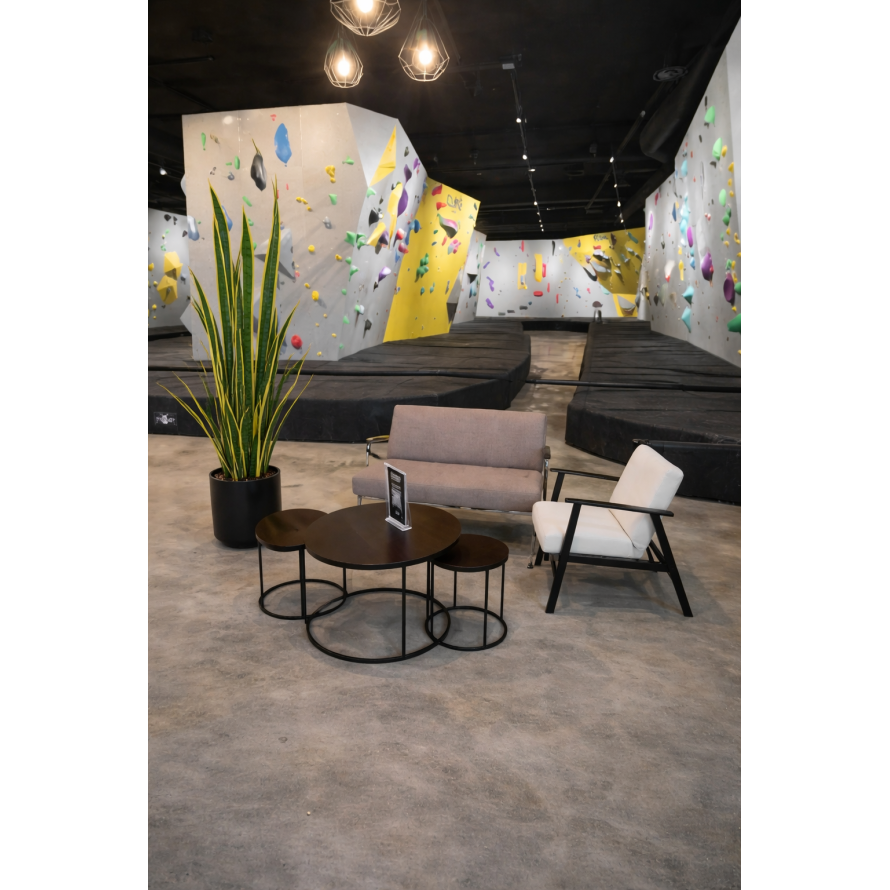 SANSEVIERIA LARGE 155 cm