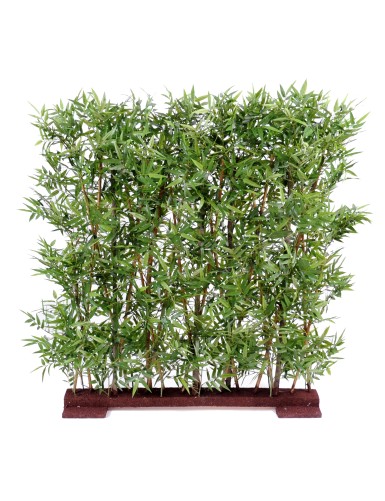 BAMBOO ORIENTAL DENSE HEDGE