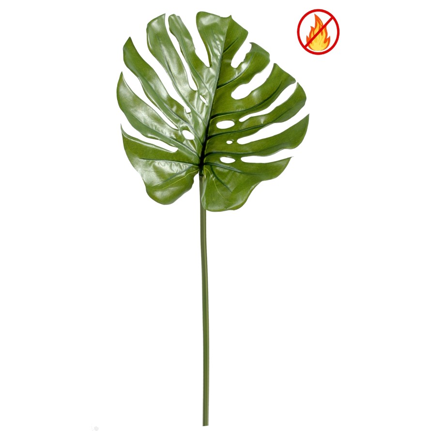 PHILODENDRON MONSTERA TIGE 75 CM L FR - Fire Resistant