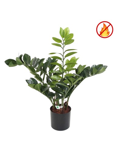 ZAMIA 60 FR – Feuerbeständig