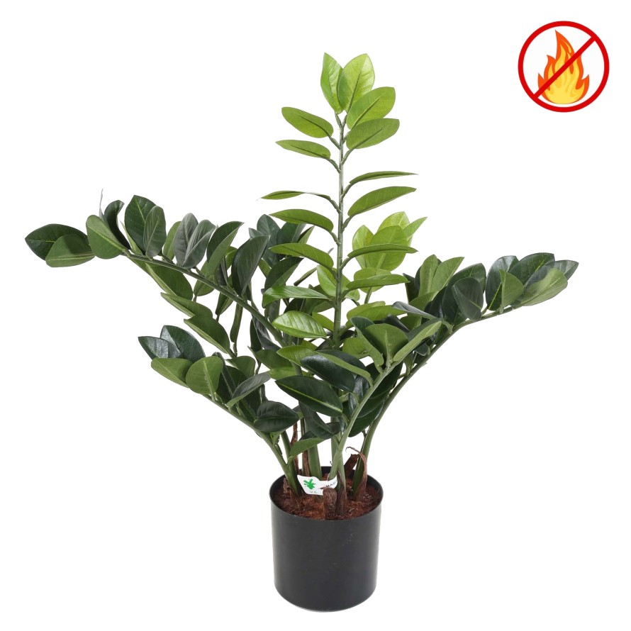 ZAMIA 60 FR - Fire Resistant