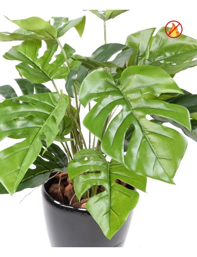 PHILODENDRON MONSTERA TOPF FR - Feuerbeständig