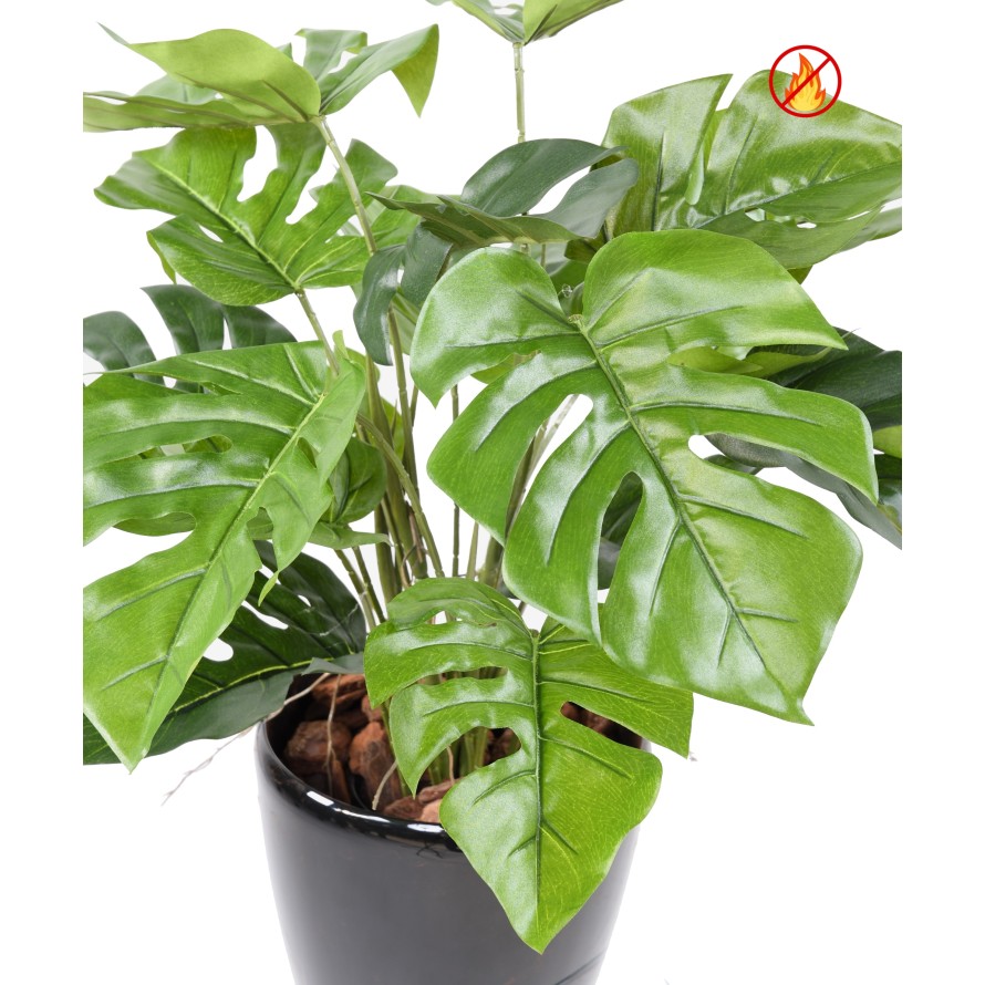 PHILODENDRON MONSTERA TOPF FR - Feuerbeständig