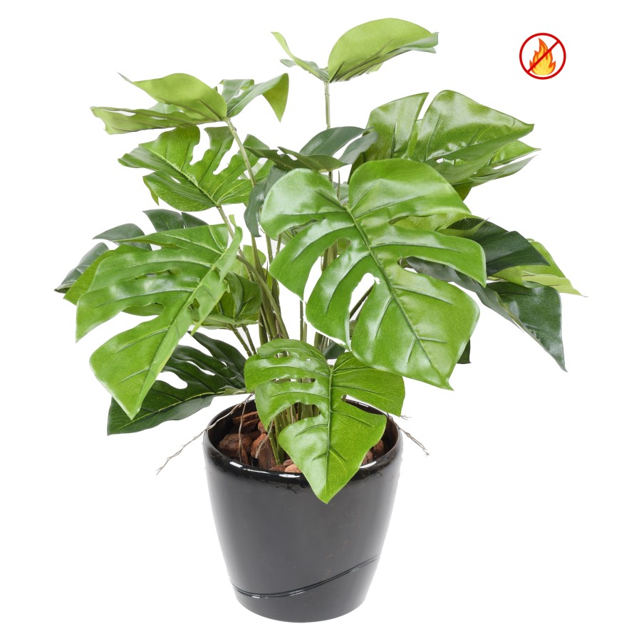 PHILODENDRON MONSTERA TOPF FR - Feuerbeständig