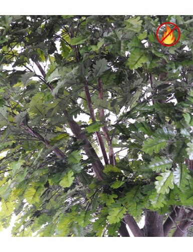 ROBLE CABEZA PLETINA FR – resistente al fuego