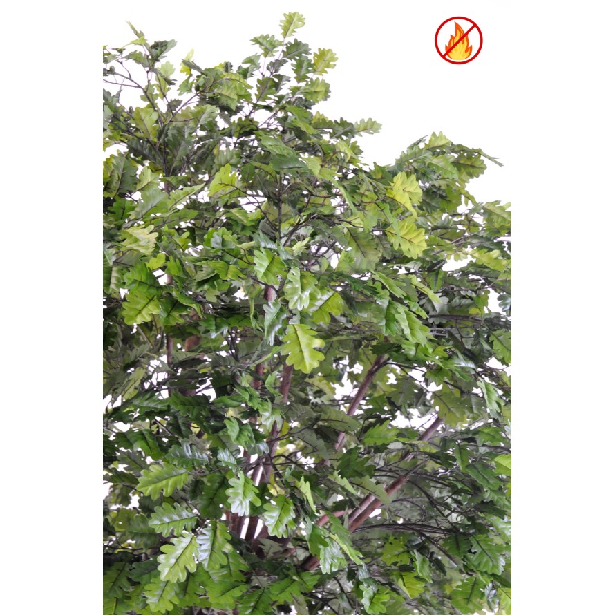 ROBLE CABEZA PLETINA FR – resistente al fuego