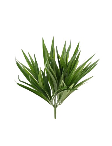CHLOROPHYTUM ARBUSTO