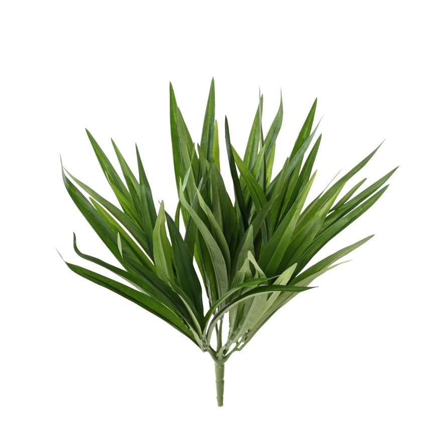 CHLOROPHYTUM BUSH