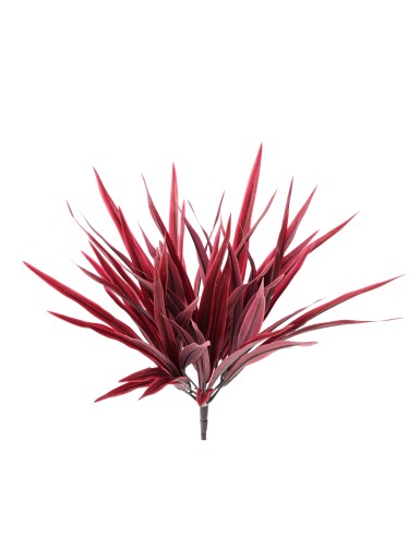 CHLOROPHYTUM BUSH
