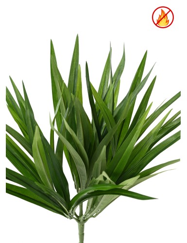 CHLOROPHYTUM BUSH FR - Fire Resistant