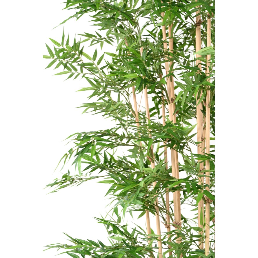BAMBOO ORIENTAL
