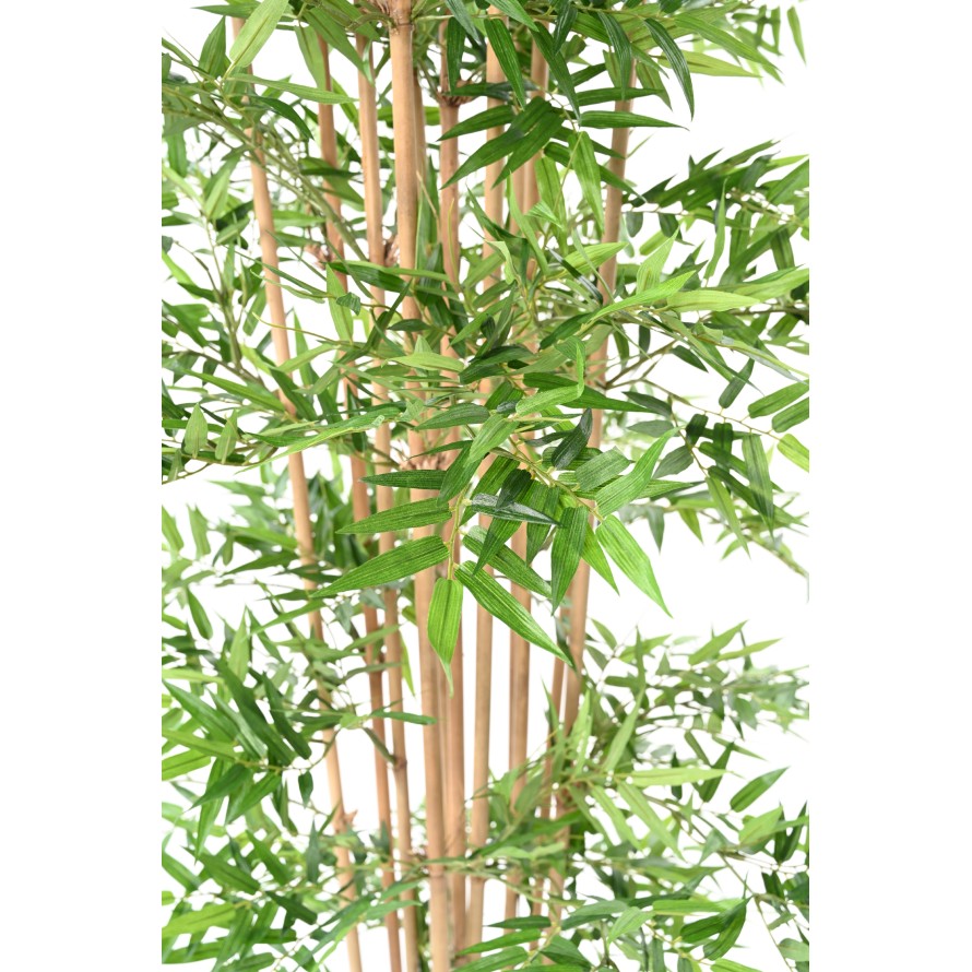 BAMBÚ ORIENTAL