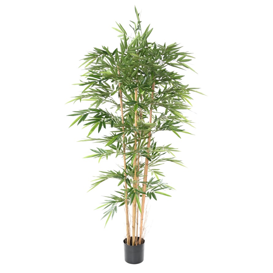 BAMBOO NEW UV RESISTANT
