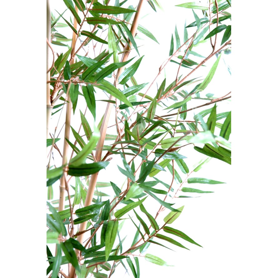 BAMBÚ ORIENTAL NEW