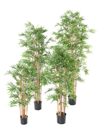 BAMBOO ORIENTAL