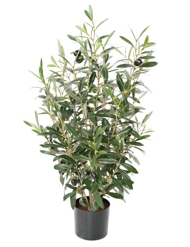 OLIVIER BUISSON 65 pot