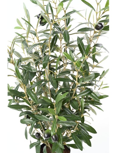 OLIVIER BUISSON 65 pot