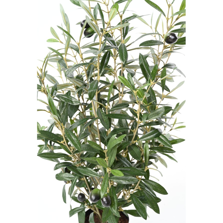 OLIVIER BUISSON 65 pot
