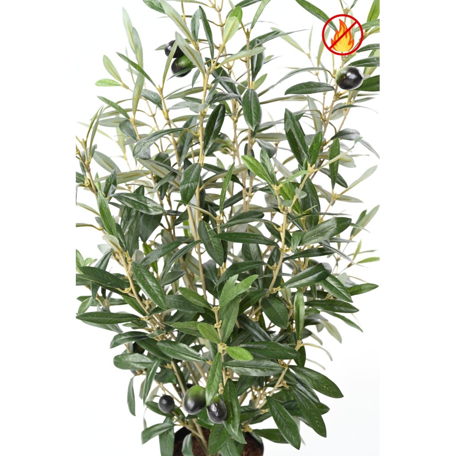 OLIVENBAUM BUSCH 65 IM TOPF FR – Feuerbeständig