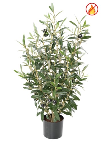 OLIVE BUSH 65 pot FR – Fire Resistant