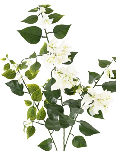 BOUGAINVILLEA LARGE SPRAY 90 UV