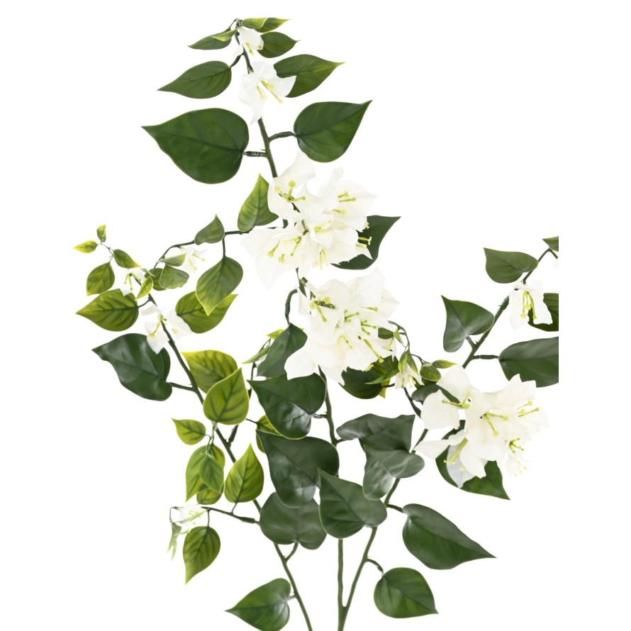 BOUGAINVILLEE LARGE SPRAY 90 UV