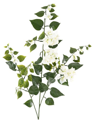 BOUGAINVILLEA LARGE SPRAY 90 UV