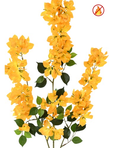 BOUGAINVILLEA SPRAY XFL FR - Fire-Resistant