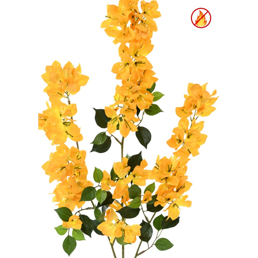 BOUGAINVILLEA SPRAY XFL FR - Resistente al Fuego