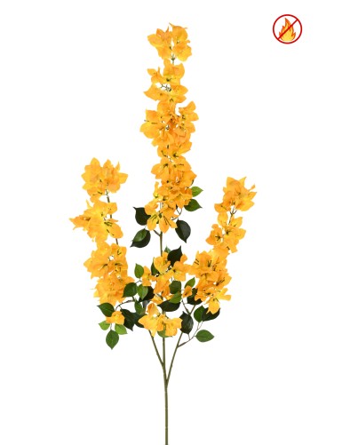 BOUGAINVILLEA SPRAY XFL FR - Fire-Resistant