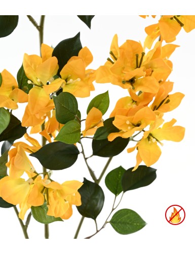 BOUGAINVILLEA SPRAY XFL FR - Fire-Resistant