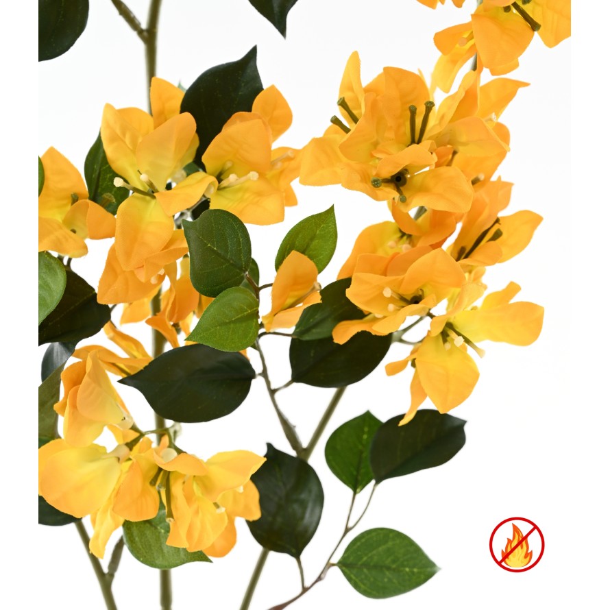 BOUGAINVILLEA SPRAY XFL FR - Resistente al Fuego