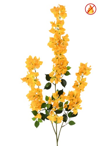 BOUGAINVILLEA SPRAY XFL FR...