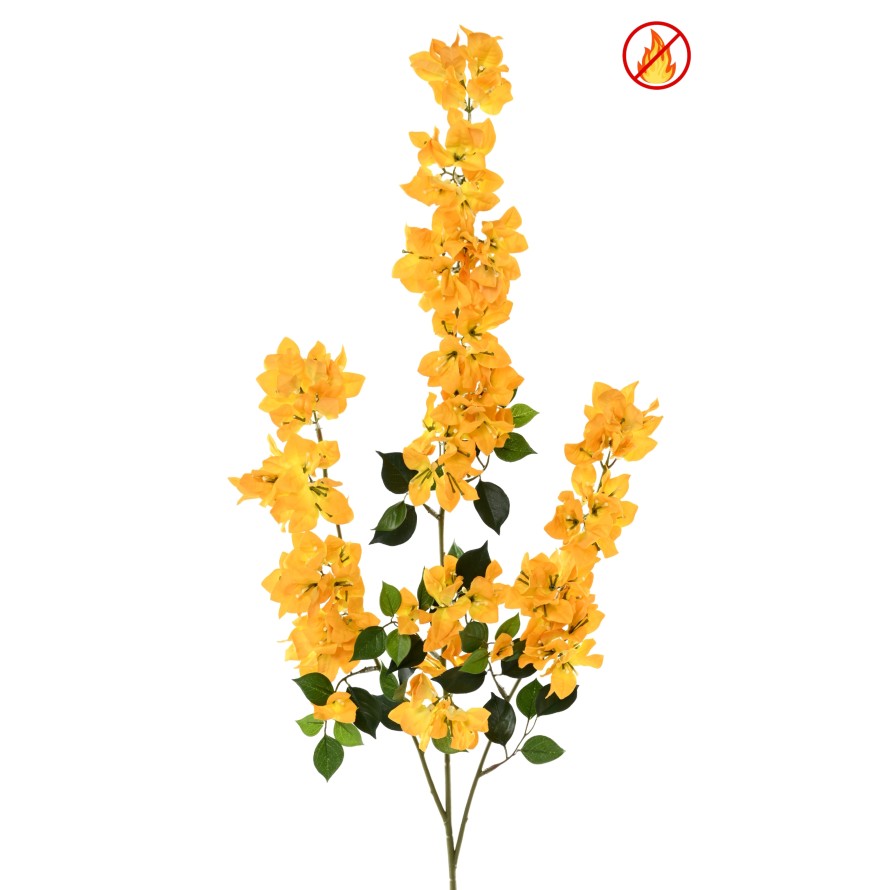 BOUGAINVILLEA SPRAY XFL FR - Resistente al Fuego