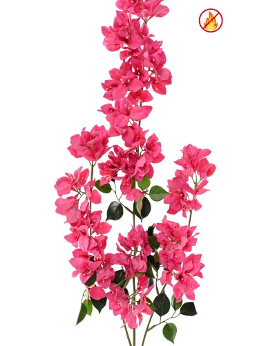 BOUGAINVILLEA SPRAY XFL FR - Fire-Resistant