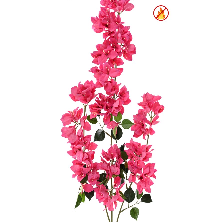 BOUGAINVILLEE SPRAY XFL FR - Fire Resistant